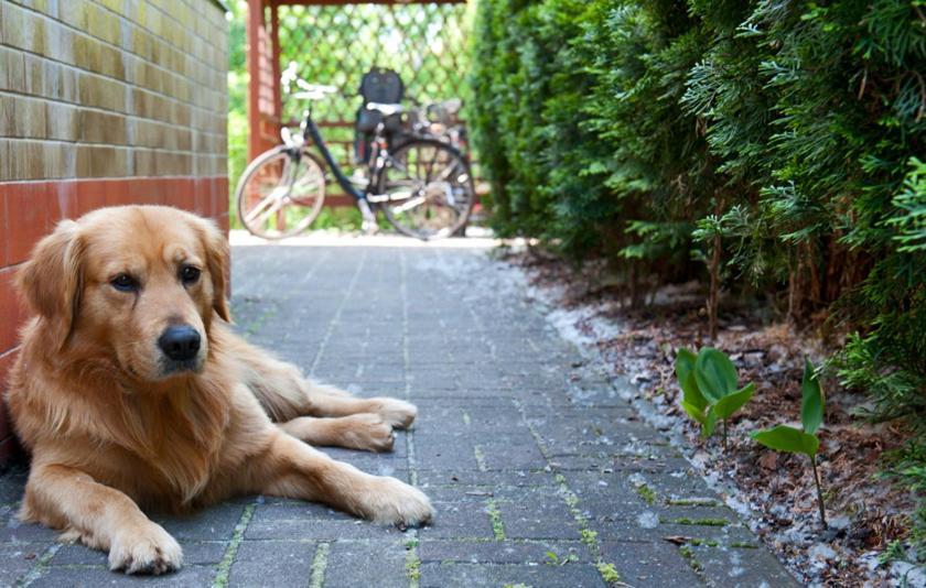 Spreewaldhaeuser Am Casa vacanze Alt Schadow