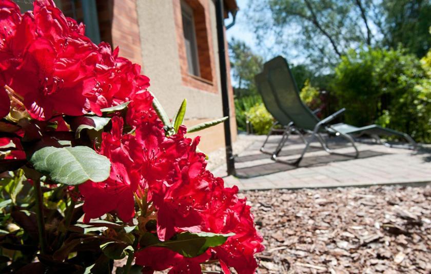 Spreewaldhaeuser Am Holiday home *